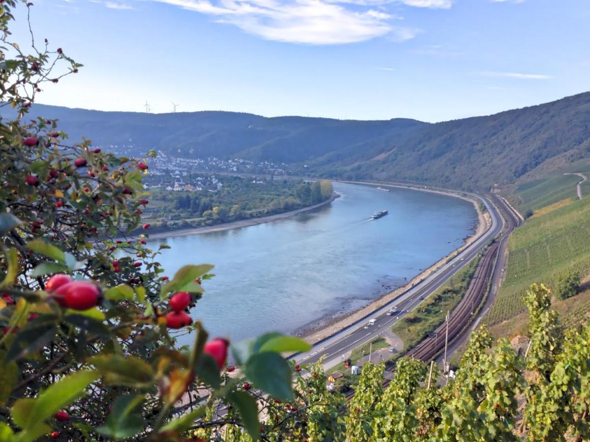 Hotel Rheinlust Boppard Rom bilde